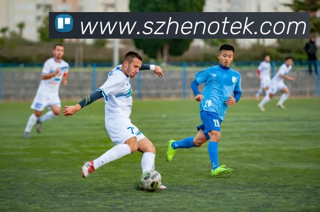 爱游戏体育发展历程